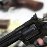 Comissão analisa uso do FGTS para compra de armas