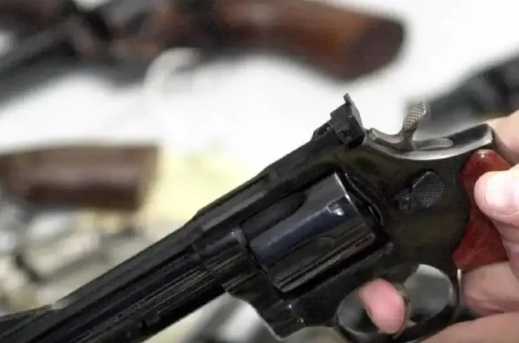 Comissão analisa uso do FGTS para compra de armas