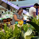 Feira de flores movimenta RioMar Fortaleza
