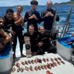 Labomar integra ações contra peixe-leão