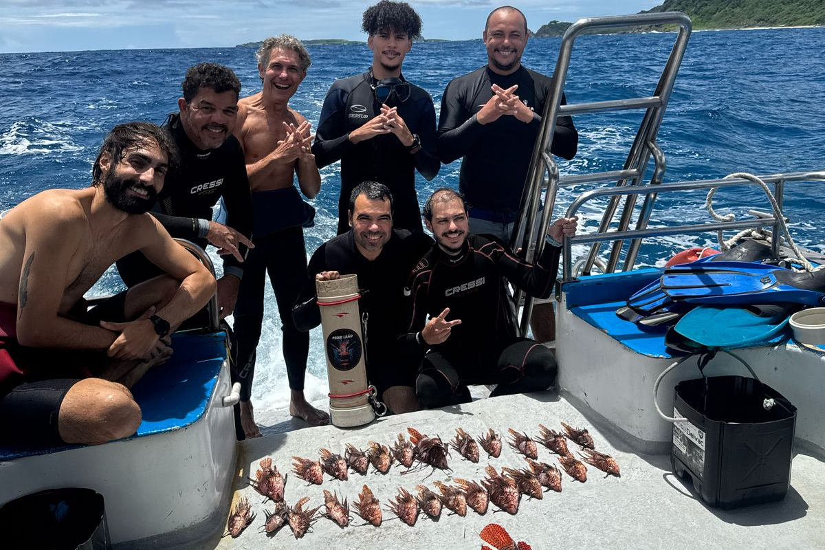 Labomar integra ações contra peixe-leão