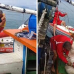 Mulher é encontrada viva após sumiço no mar
