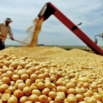 Economia: PIB cresce 1,1% no 1º trimestre