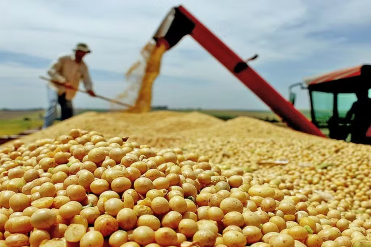 Economia: PIB cresce 1,1% no 1º trimestre
