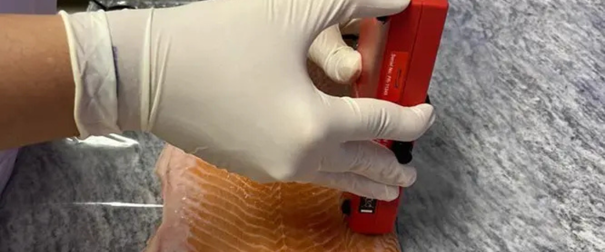 Inovação: Embrapa cria salmão e caviar veganos