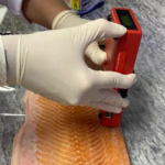 Inovação: Embrapa cria salmão e caviar veganos