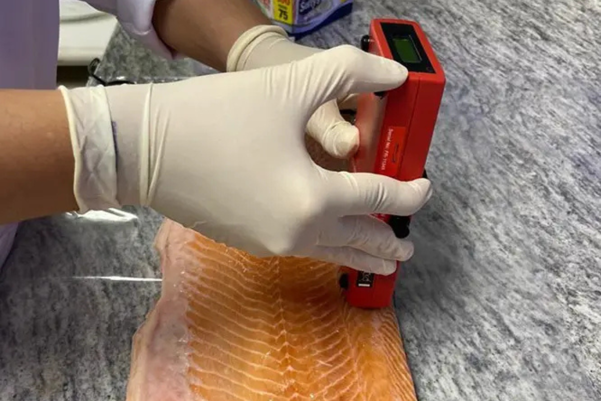 Inovação: Embrapa cria salmão e caviar veganos