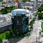 Sustentabilidade: Alece apoia reflorestamento na Ibiapaba com bombas de sementes em Tianguá