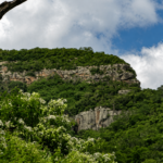 Meio Ambiente: Caatinga ganha novas áreas protegidas