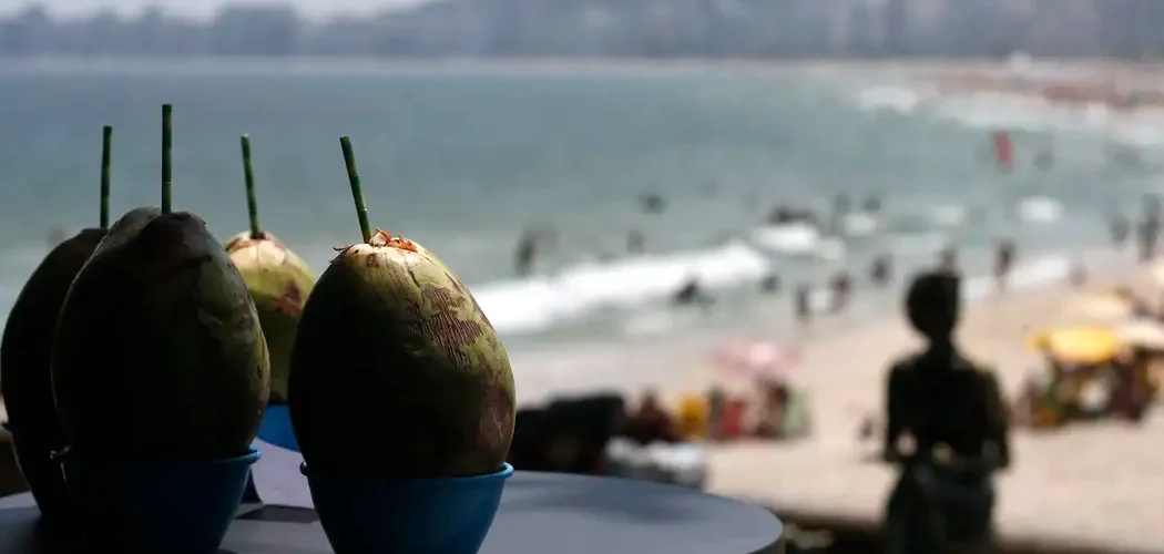 Gastos de turistas no Brasil chegam a R$ 25 bilhões