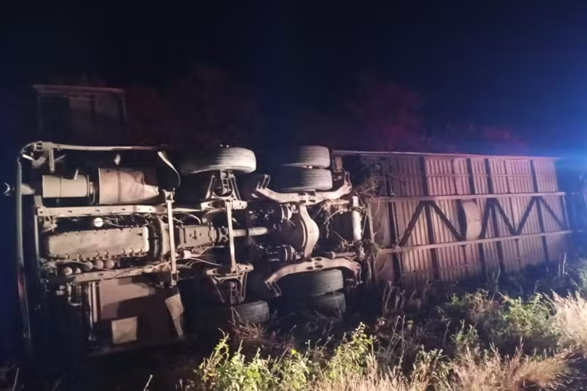 Motorista relata desvio de animal em acidente