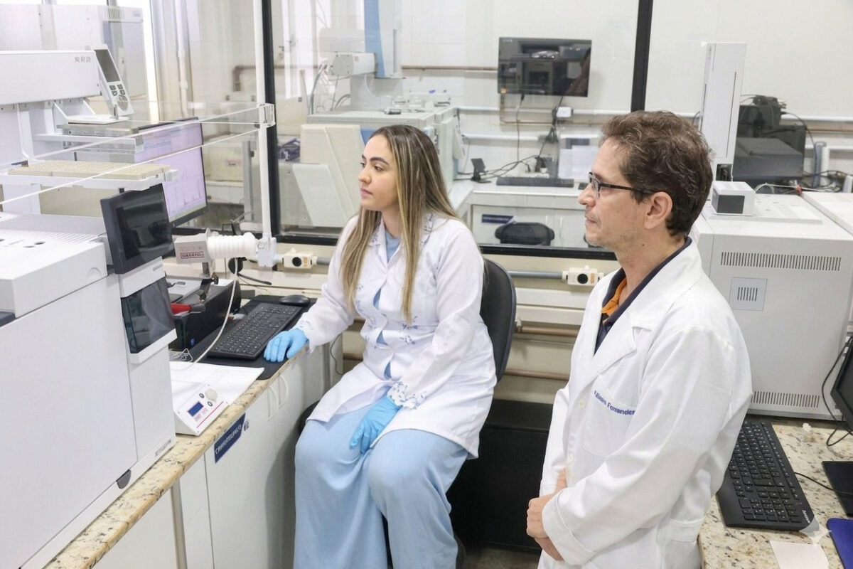Pesquisa recria gordura animal em carne vegetal