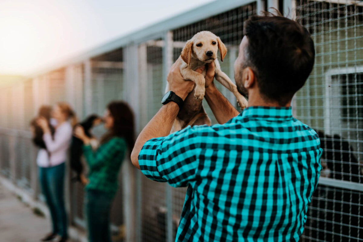 Shopping de Fortaleza promove feira de adoção pet