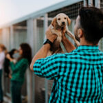 Shopping de Fortaleza promove feira de adoção pet