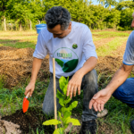 UFC inaugura jardim agroflorestal no Campus do Pici