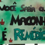 Alece debate avanços da cannabis medicinal