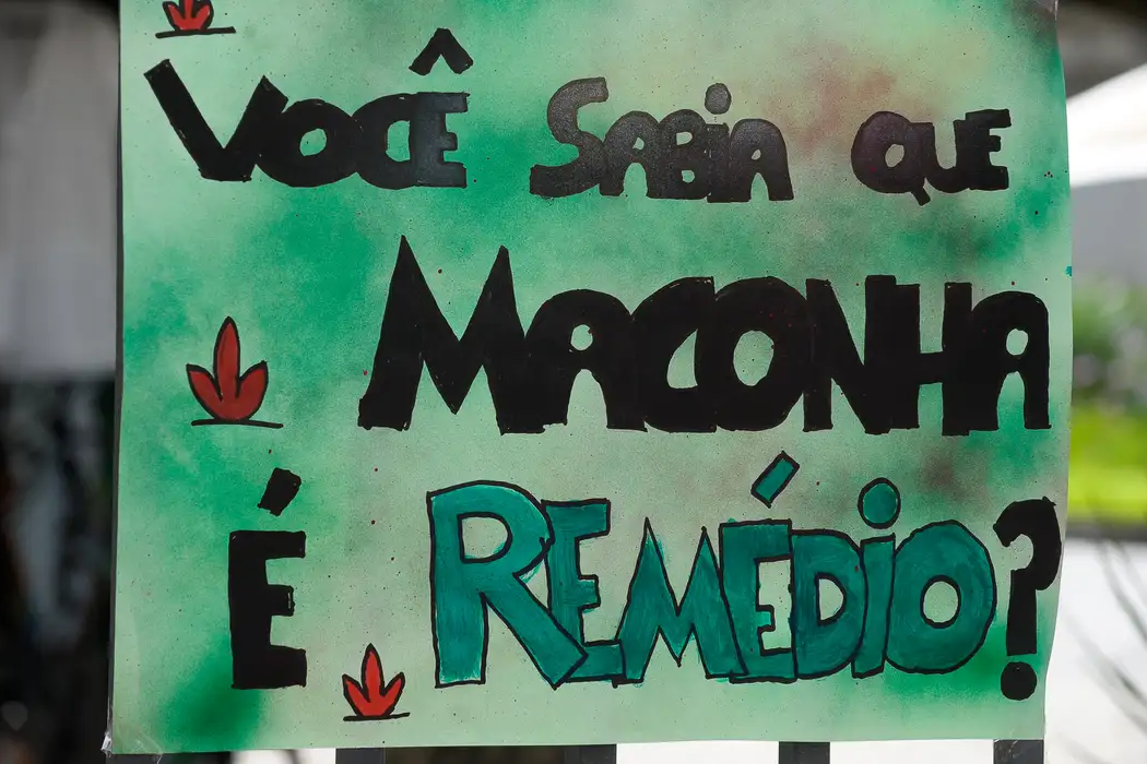 Alece debate avanços da cannabis medicinal