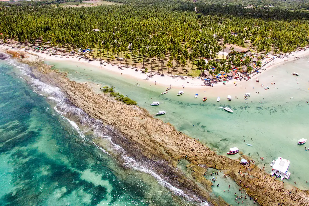 Barulho de barcos afeta comunicação dos peixes