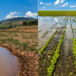 Clima: El Niño ameaça alimentos e cidades brasileiras