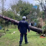 Defesa Civil reconhece emergência em 17 cidades gaúchas