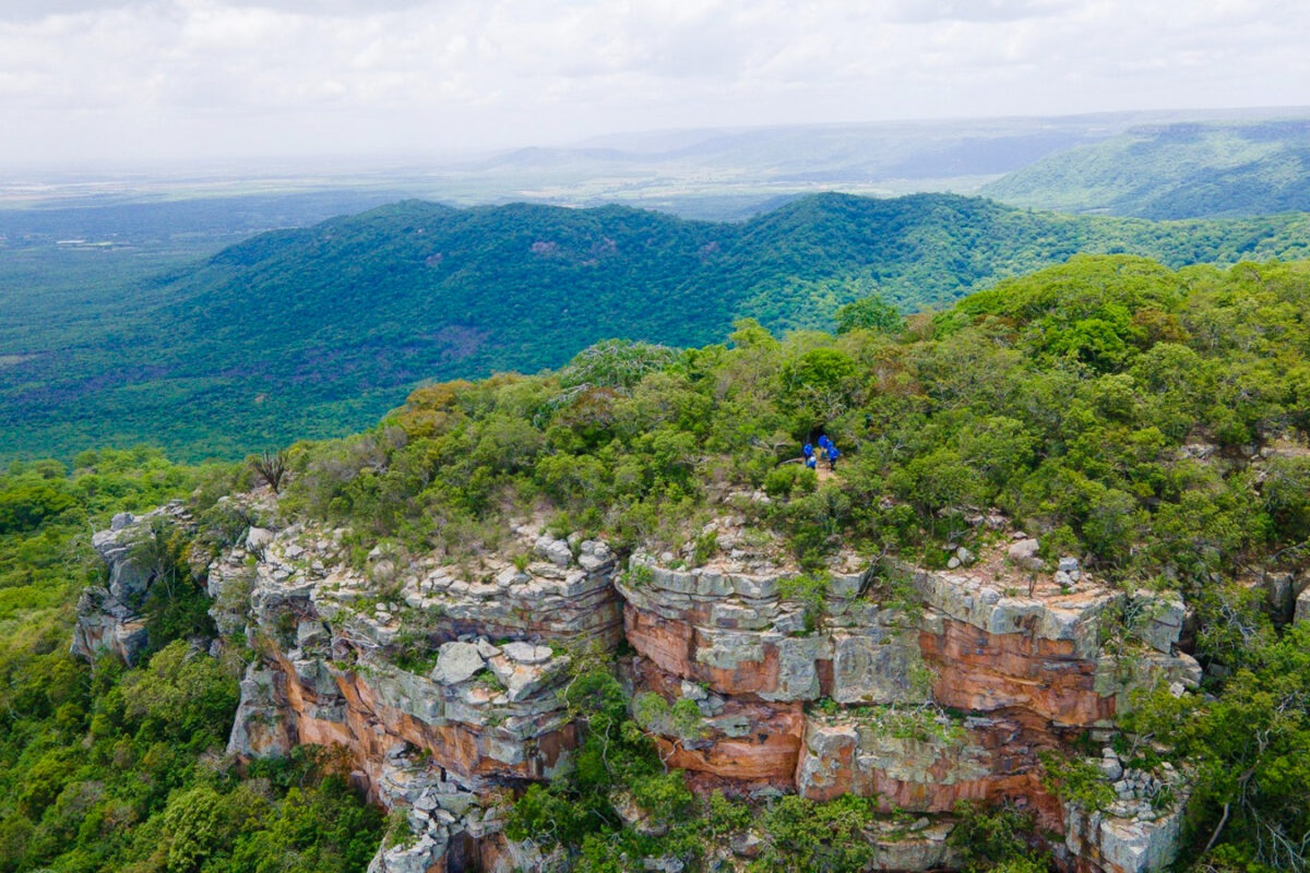Dia de Proteção às Florestas destaca a Caatinga