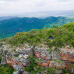 Dia de Proteção às Florestas destaca a Caatinga