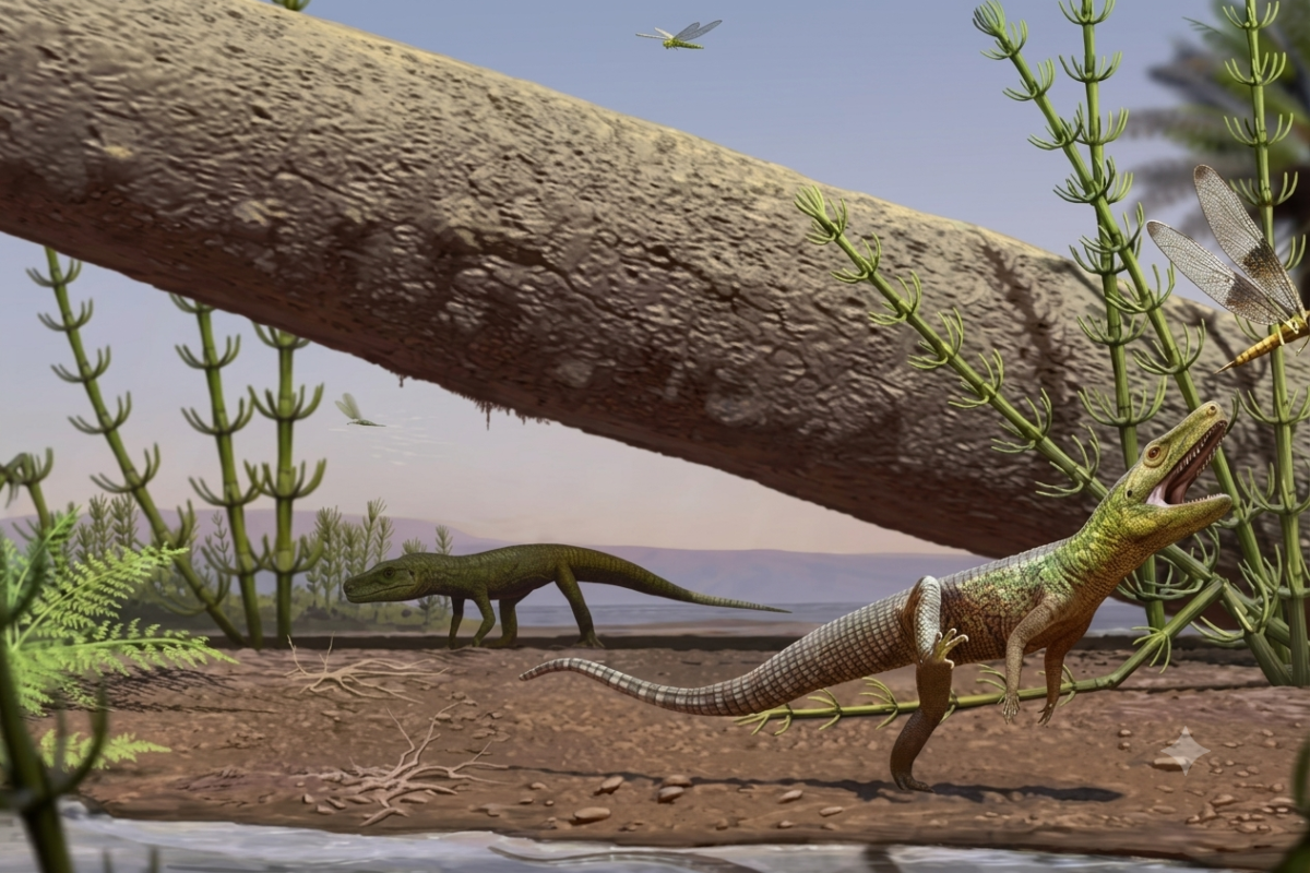 Fóssil no RS revela ancestral de dinossauros