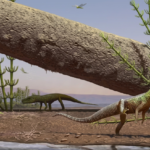 Fóssil no RS revela ancestral de dinossauros