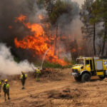 Incêndios desalojam 330 mil na França e Espanha