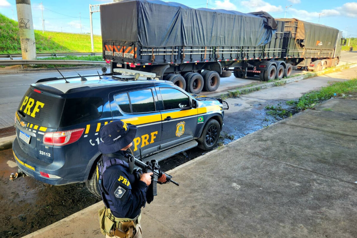 PRF apreende 209 m³ de madeira ilegal no Ceará
