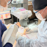 Saúde: Perda dentária afeta milhões após os 50