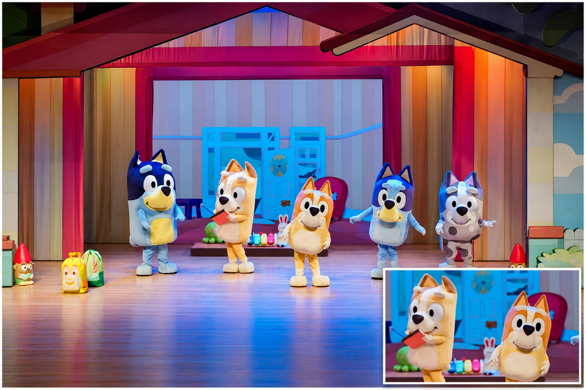 Bluey chega pela primeira vez a Fortaleza