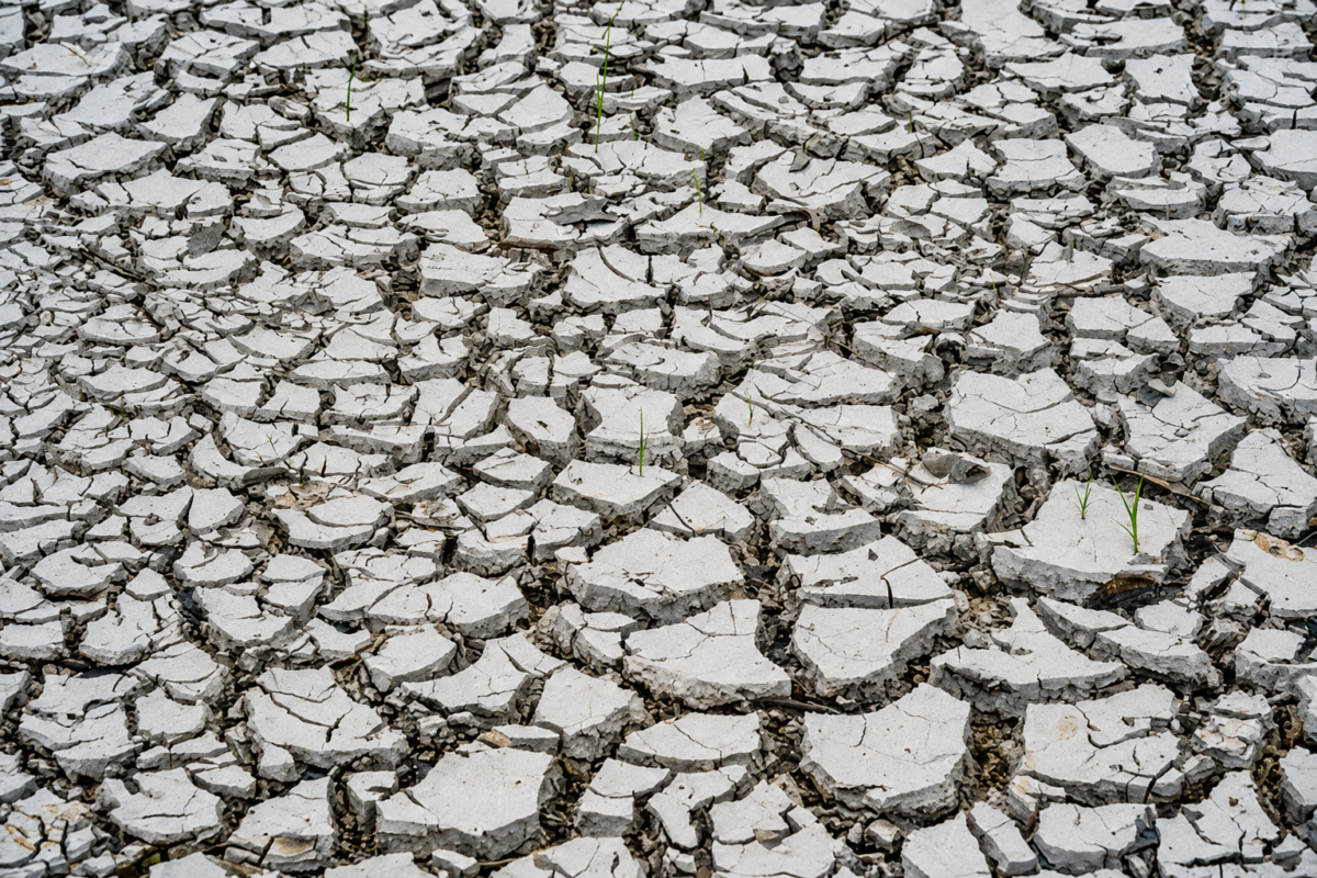 COP17 busca acordo global contra a seca