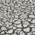 COP17 busca acordo global contra a seca