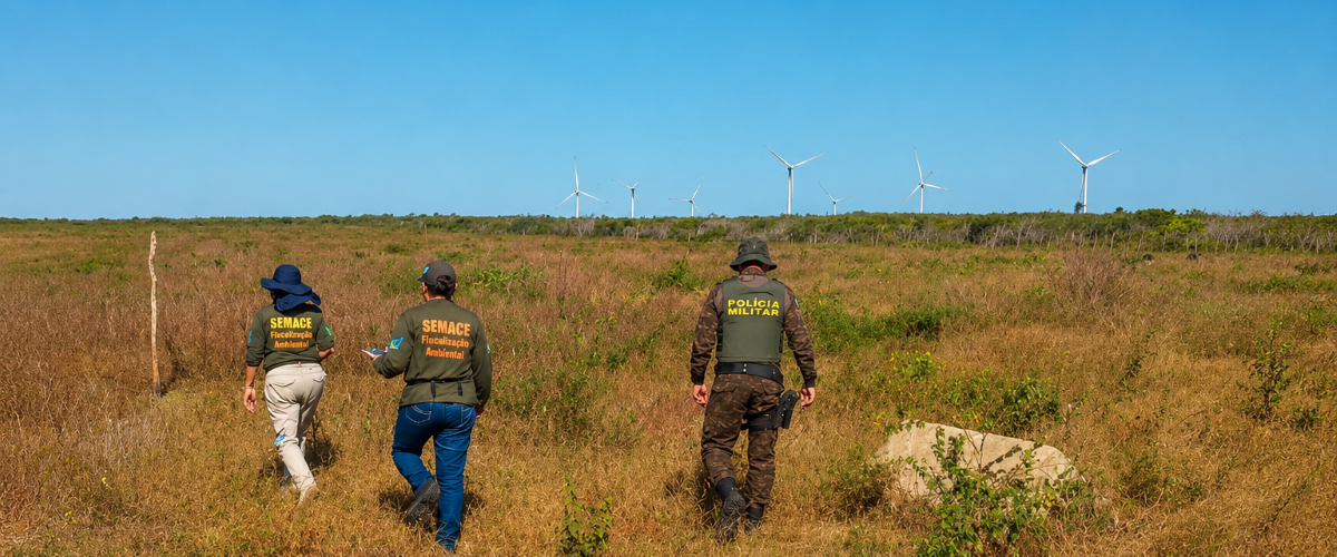 Ambiente: Operação embarga 134 hectares no Ceará