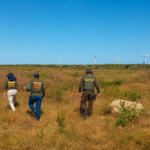 Ambiente: Operação embarga 134 hectares no Ceará