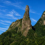 Ecoturismo: Trilha liga história e natureza no Rio