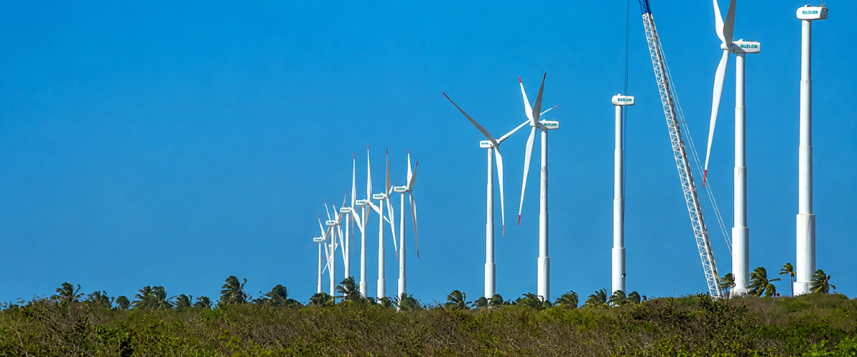 Sustentabilidade: Projeto mapeia economia verde no Nordeste