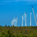 Sustentabilidade: Projeto mapeia economia verde no Nordeste