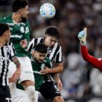 Futebol: Botafogo segura Palmeiras e ajuda Flamengo
