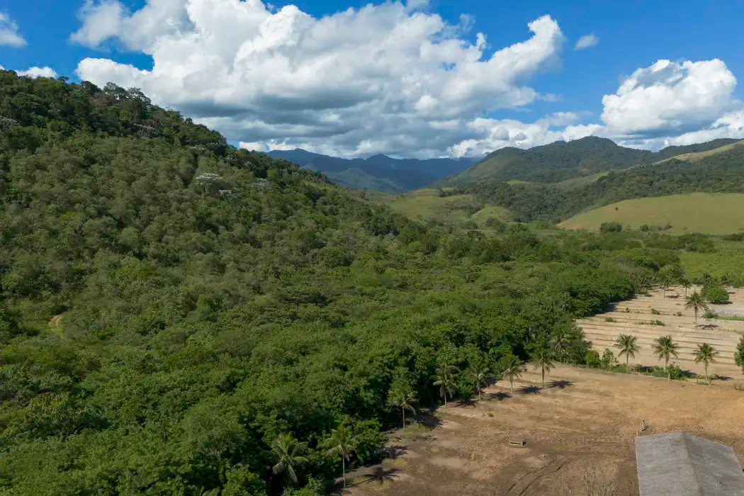 Agricultura: Mata Atlântica perde 9,7 milhões de hectares em 41 anos Agricultura avança 11 milhões de hectares no bioma