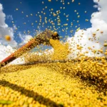 Produção agrícola brasileira supera R$ 927 bilhões em 2025