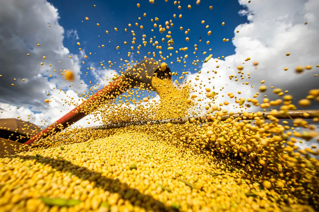 Produção agrícola brasileira supera R$ 927 bilhões em 2025