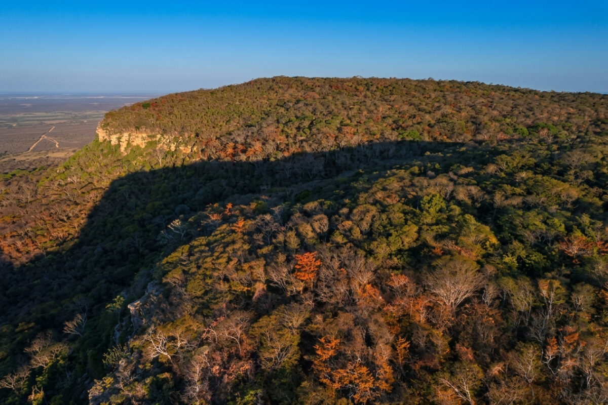 Serra das Almas completa 26 anos de conservação da Caatinga