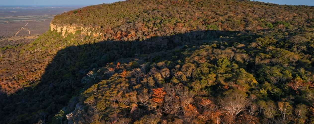 Serra das Almas completa 26 anos de conservação da Caatinga