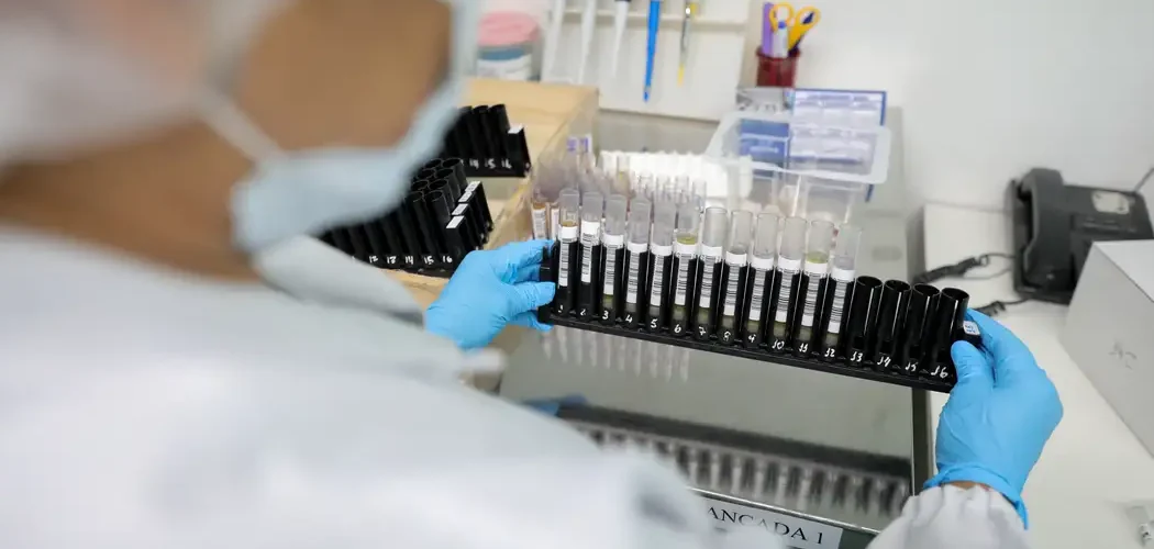 Anvisa autoriza testes em humanos de vacina brasileira contra malária