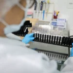 Anvisa autoriza testes em humanos de vacina brasileira contra malária