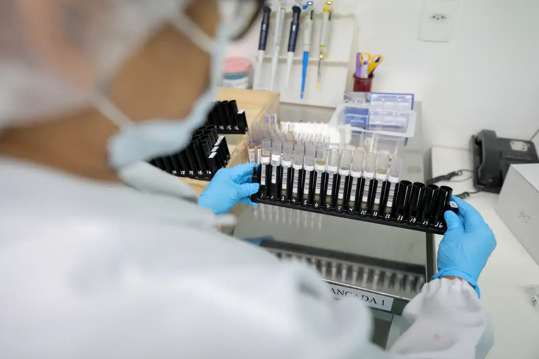 Anvisa autoriza testes em humanos de vacina brasileira contra malária