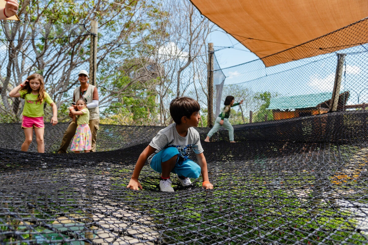 Beach Park Camp reúne aventuras no mês das crianças