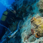 Naufrágio de 4.700 anos é encontrado na Turquia